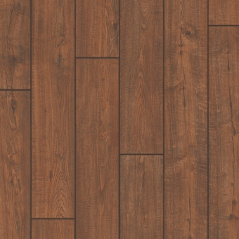  IMU1995 Дуб бордо