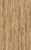 4795 Дуб горный бронзовый