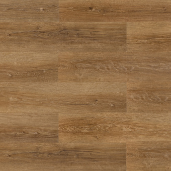 2204 Дуб легкий