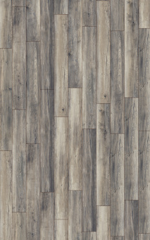 3572 Дуб портовый серый