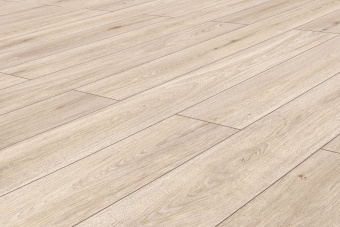 50867 Дуб Лаудер