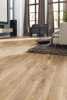 4795 Дуб горный бронзовый