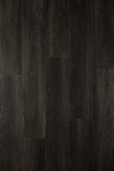 CXI148 Дуб цейлонский