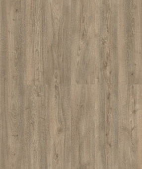 D50137 AF Дуб Мендель