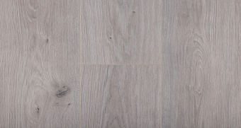 732 Дуб Танзания