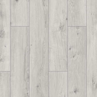 ID72 Дуб Грейс