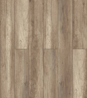 D3273 Дуб Шератан