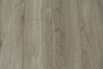 6050-305 Камелия