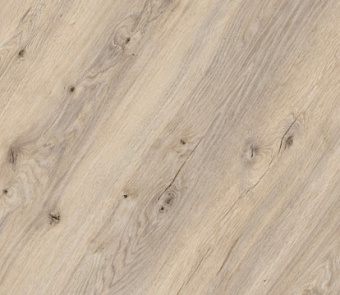 Дуб Рустикальный