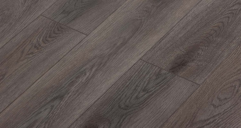 731 Дуб Кейптаун