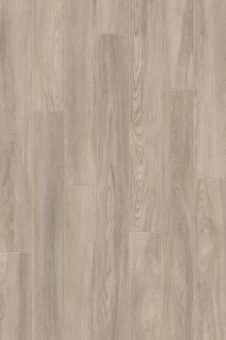 CFF 501 Дуб Куркума