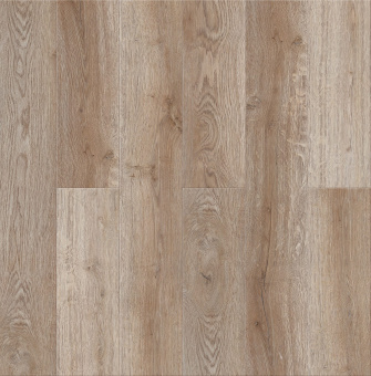 Дуб Стоктон