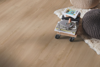 D80892 Каштан Солсбери темный