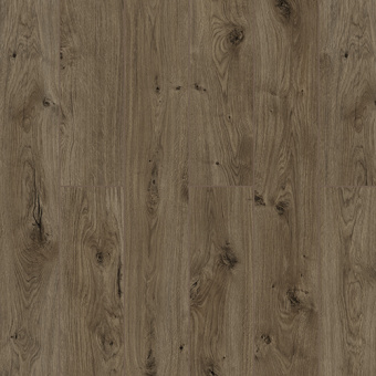 59807 Дуб Рапти