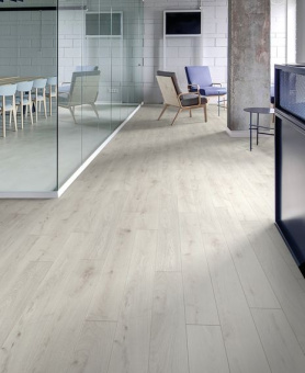 5953 Дуб Шантилли