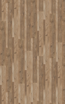 3665 Дуб Роузмонт