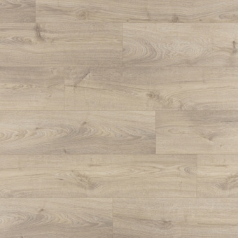 UWH 8637 Дуб луговой