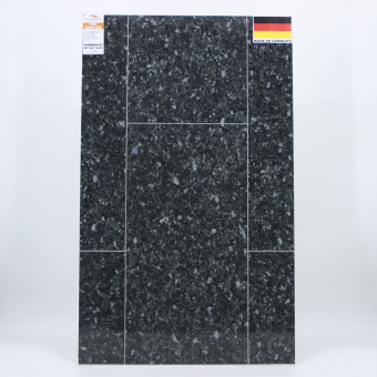 Лабрадор Ларвик