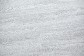 91724-12 Дуб Северный