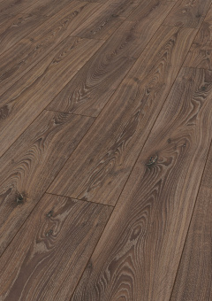 3590 Дуб таймлесс