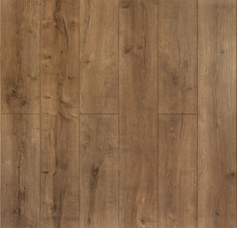 D3787 Дуб Ливиньо