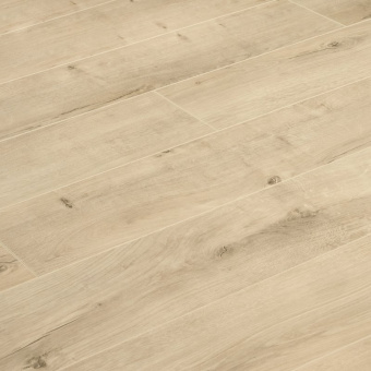 ID68 Дуб Нельсон