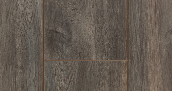 SF61 Дуб Бремен