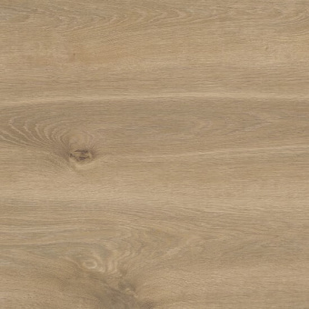 U608 Дуб Абсолют классический