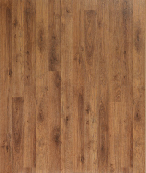 1805  Дуб Дворцовый