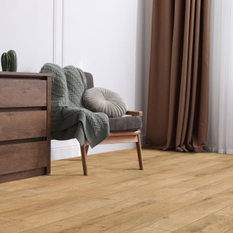 ID97 Дуб Абрис