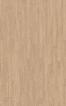 D6012 Дуб Эльба Золотой