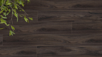 LM32 Орех Монтенегро